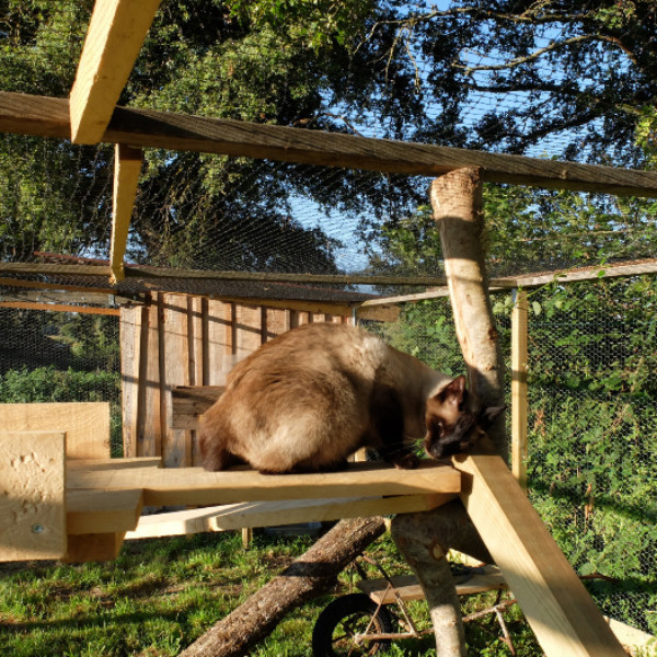 Photo du logement