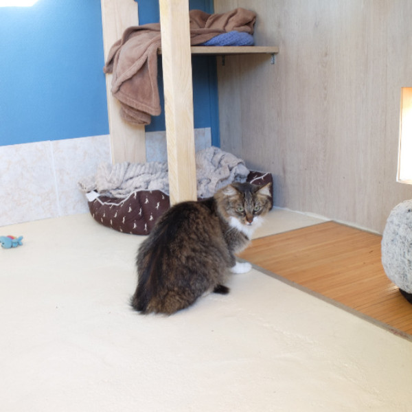Photo du logement