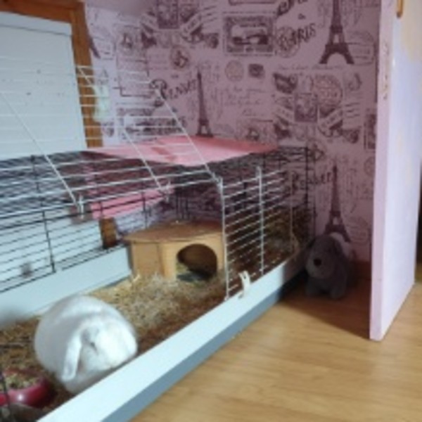 Photo du logement