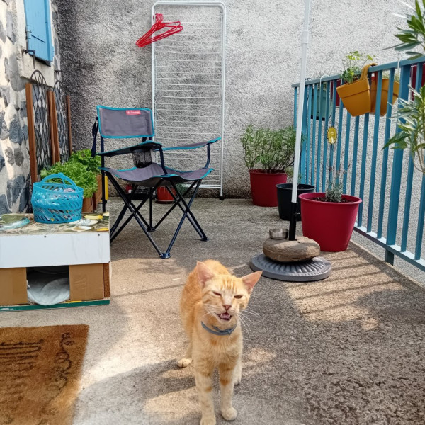 Photo du logement
