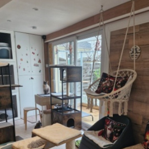 Photo du logement