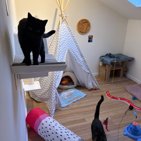 Photo du logement
