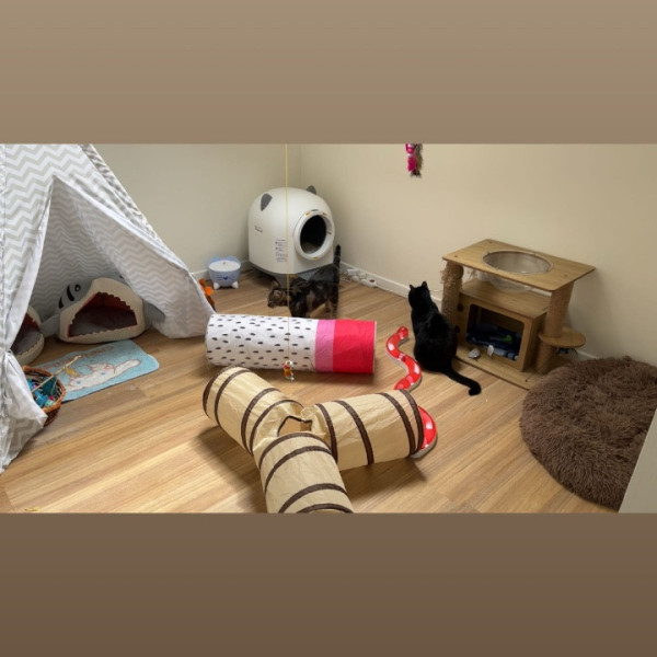 Photo du logement