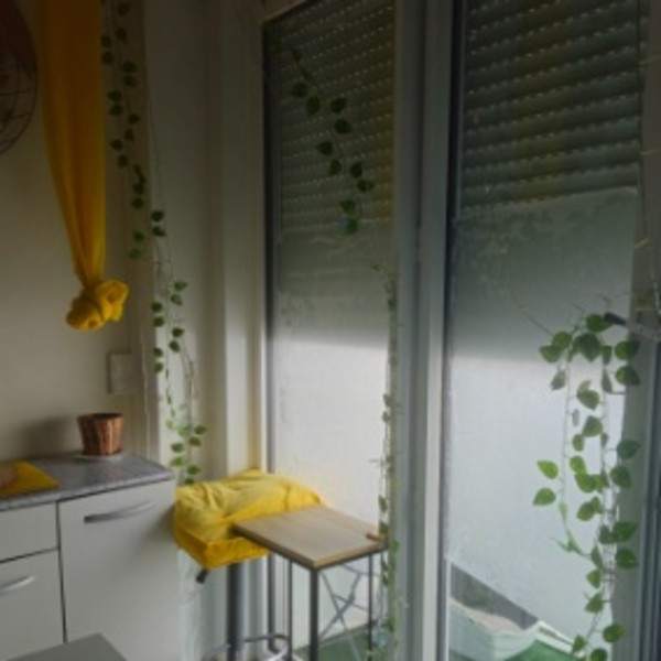 Photo du logement