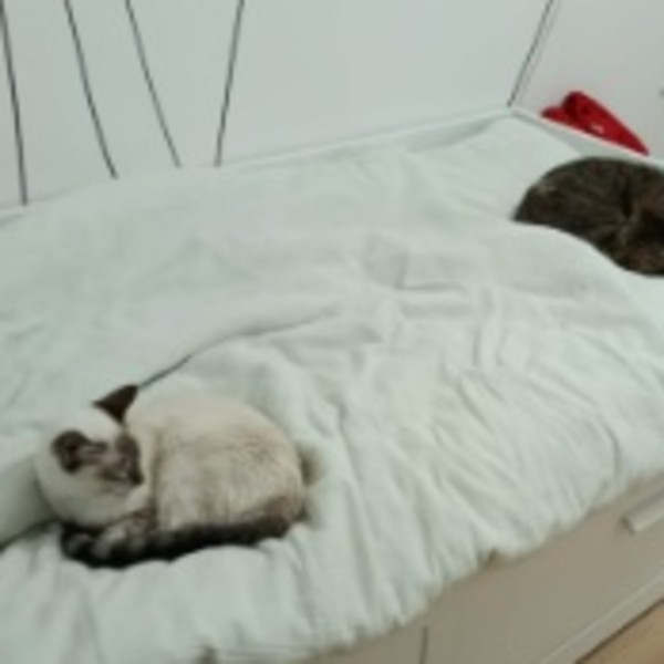 Photo du logement