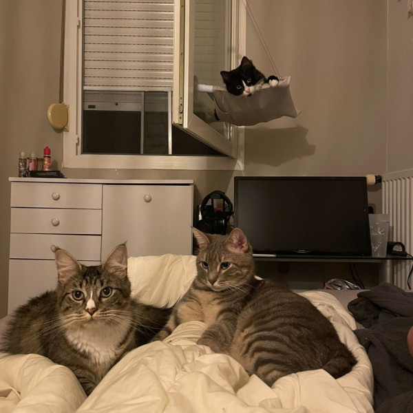 Photo du logement
