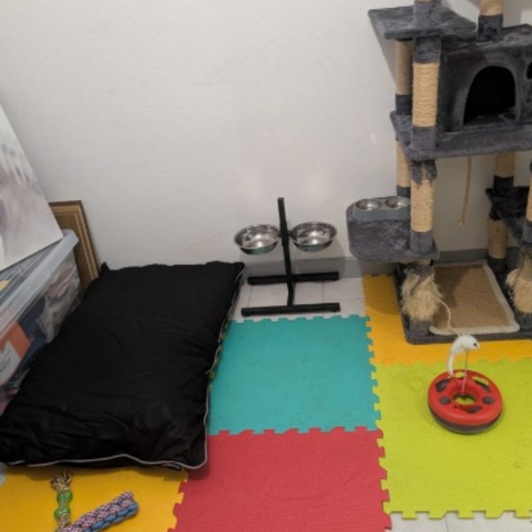 Photo du logement