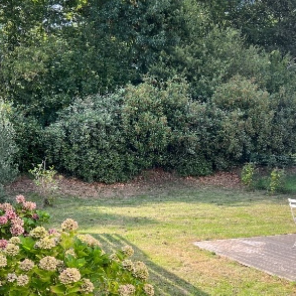 Photo du logement