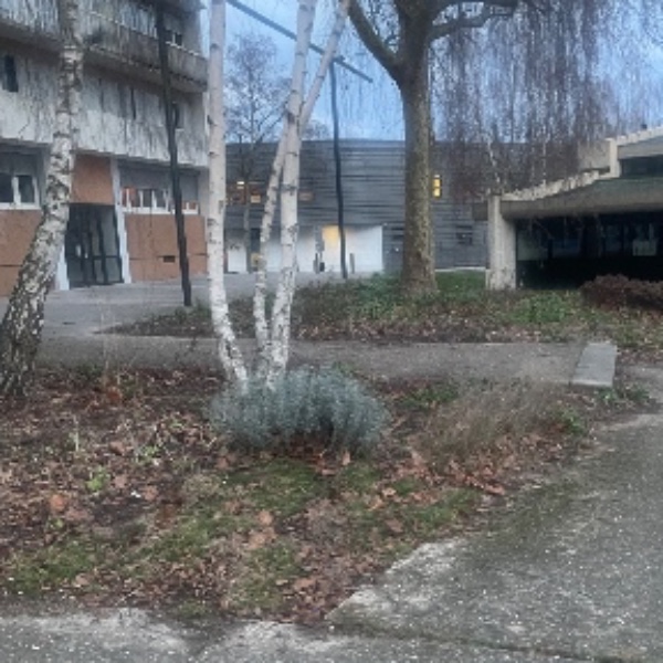 Photo du logement
