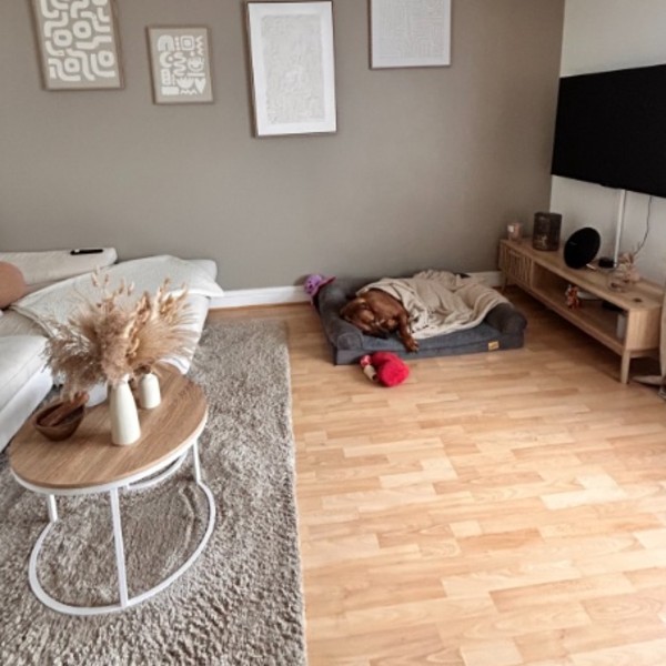 Photo du logement