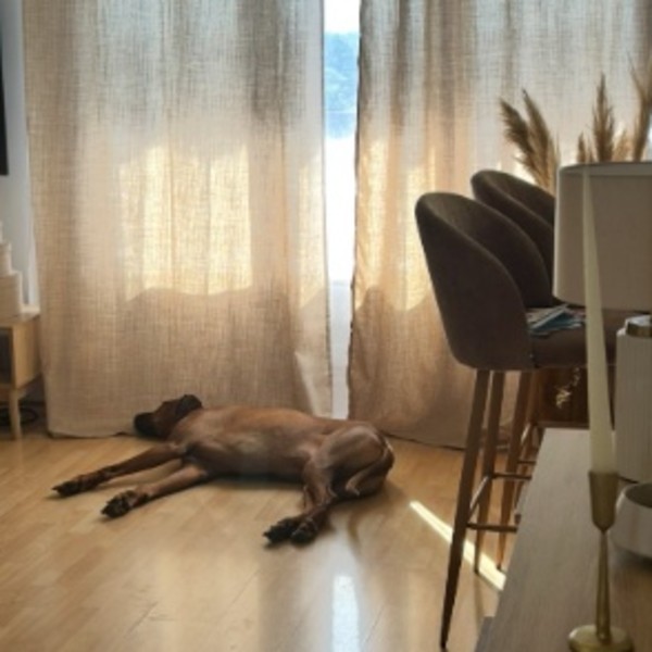 Photo du logement