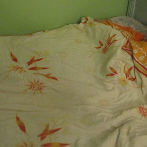 Photo du logement