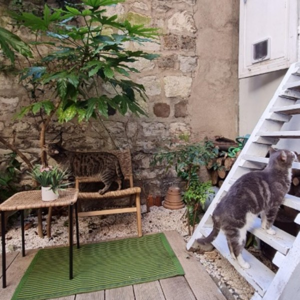 Photo du logement