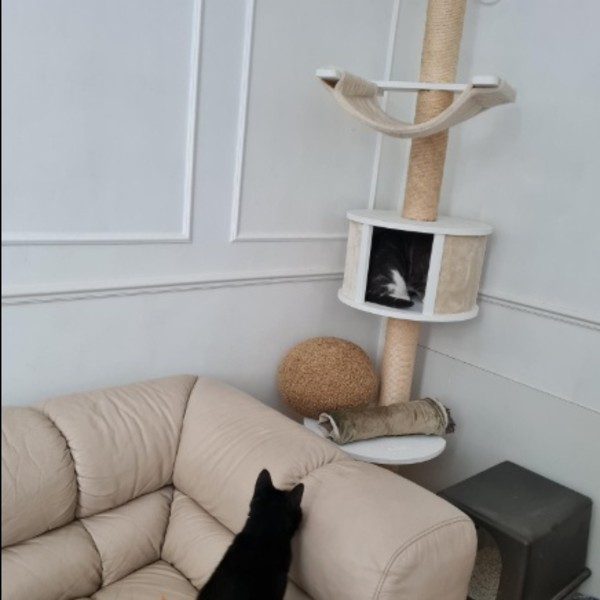 Photo du logement