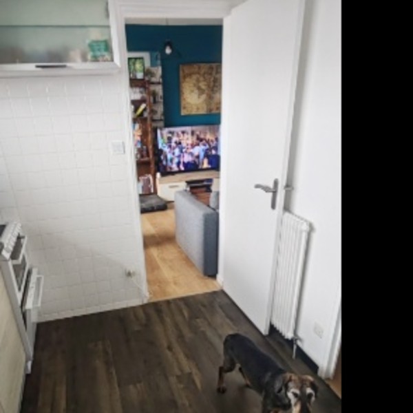 Photo du logement