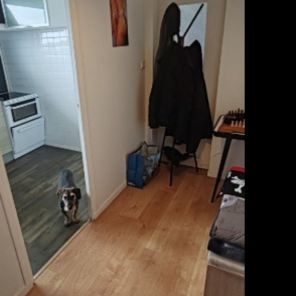 Photo du logement