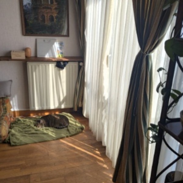 Photo du logement