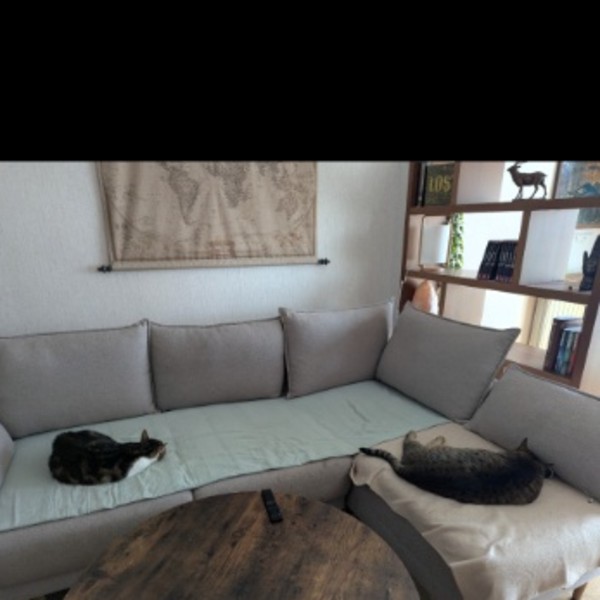 Photo du logement