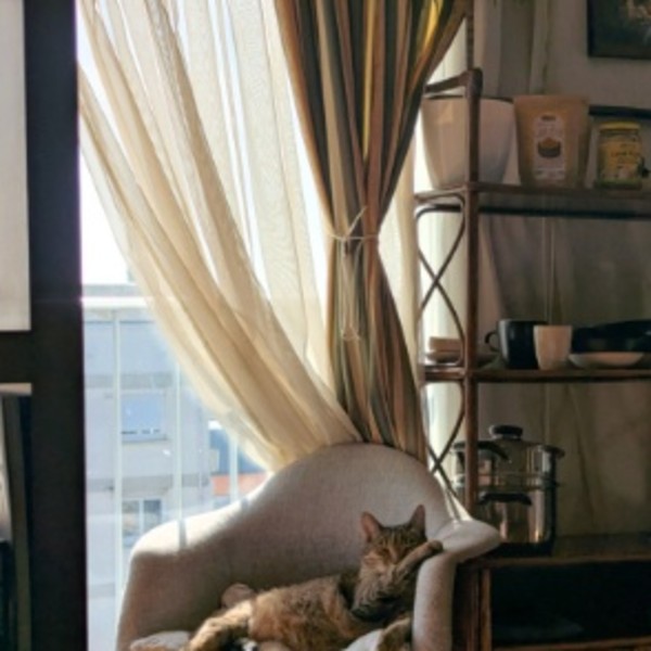 Photo du logement