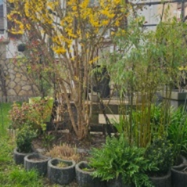Photo du logement