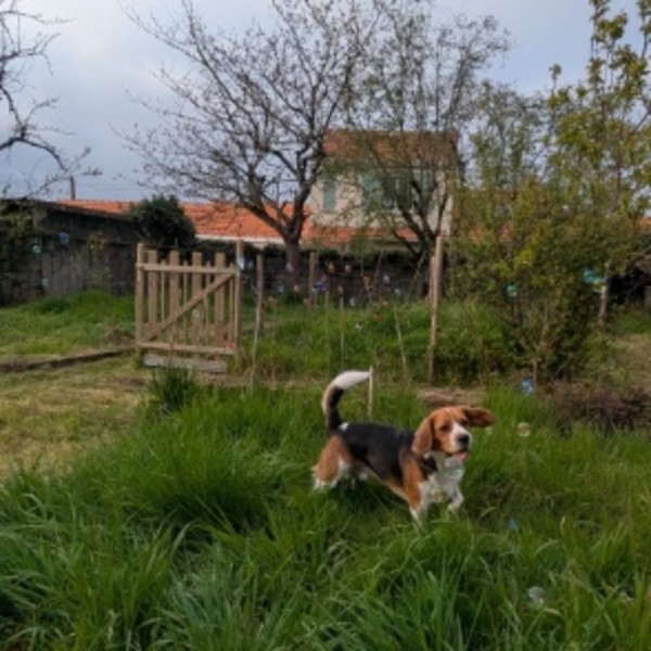 Photo du logement