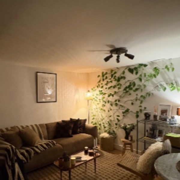 Photo du logement