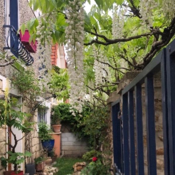 Photo du logement