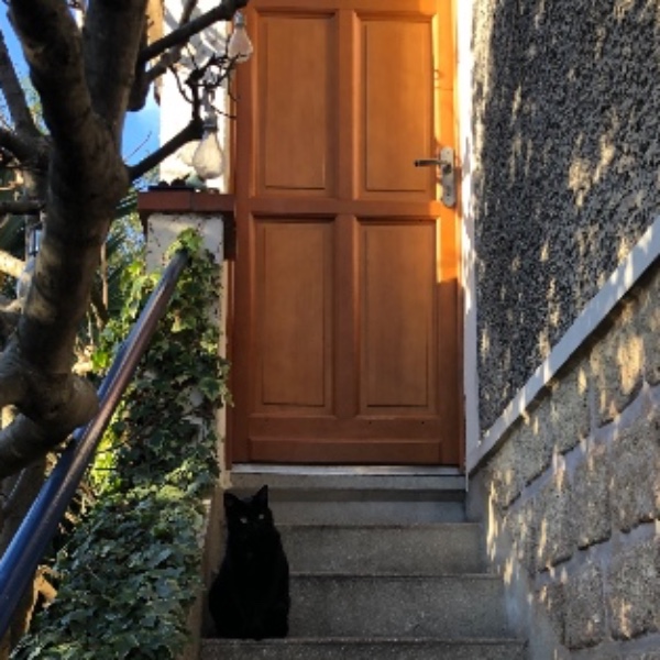 Photo du logement