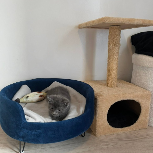 Photo du logement