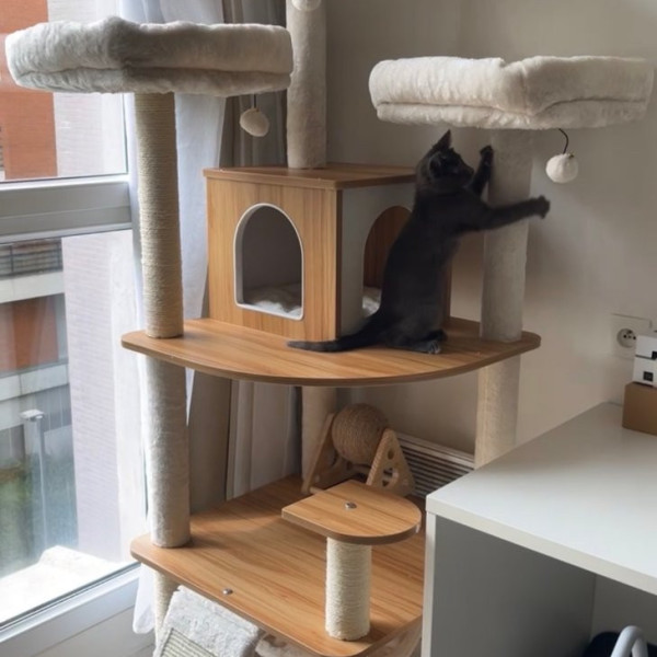 Photo du logement