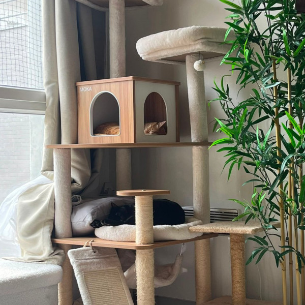 Photo du logement