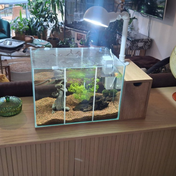 Photo du logement