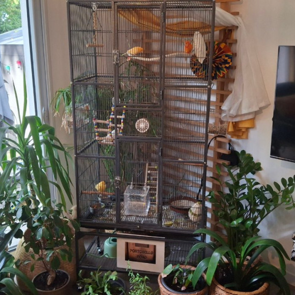 Photo du logement