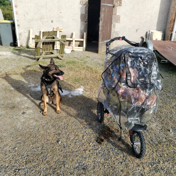 Photo du logement