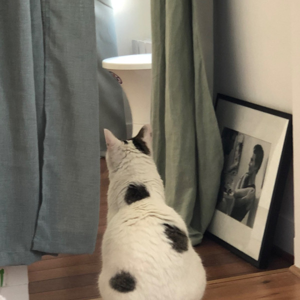Photo du logement