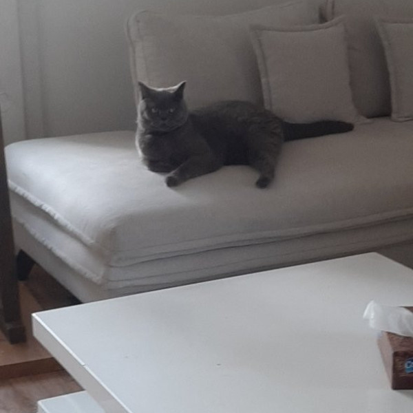 Photo du logement