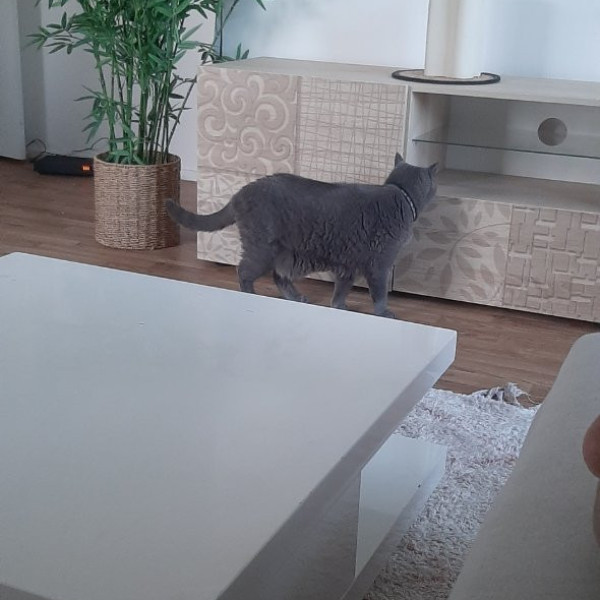 Photo du logement