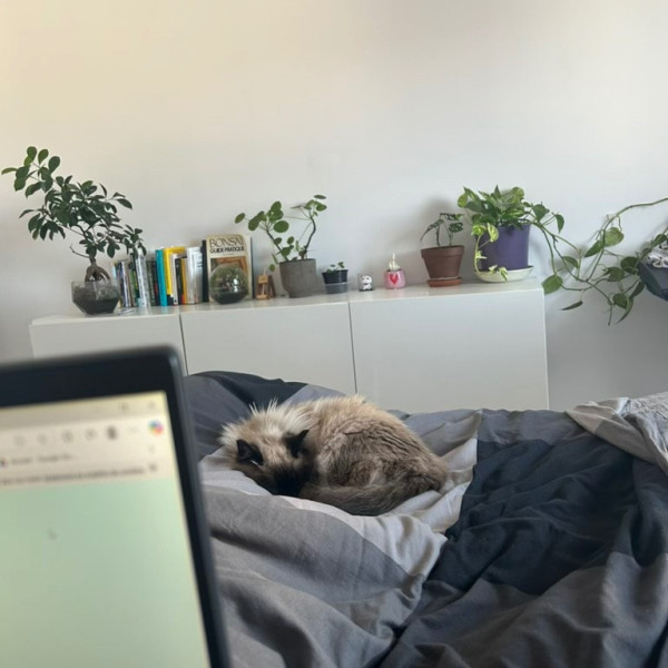 Photo du logement