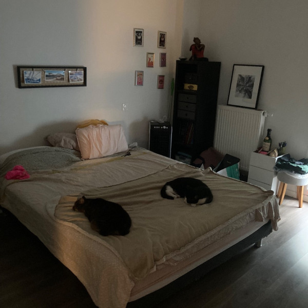 Photo du logement