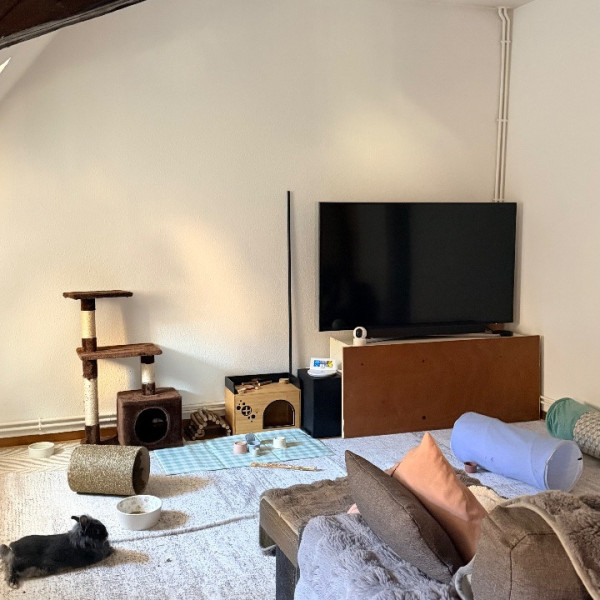 Photo du logement