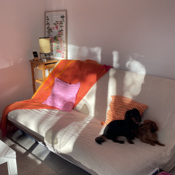 Photo du logement