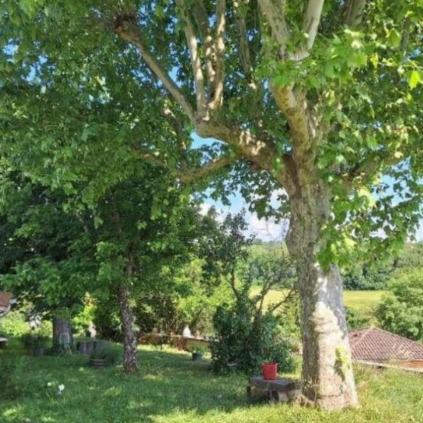 Photo du logement
