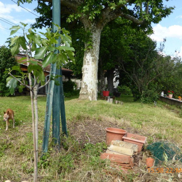 Photo du logement