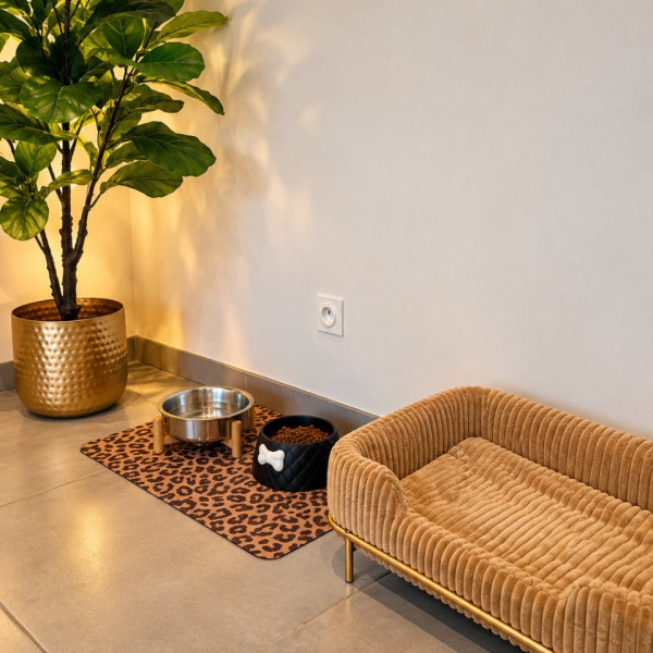 Photo du logement