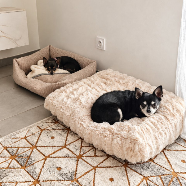 Photo du logement