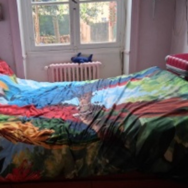 Photo du logement