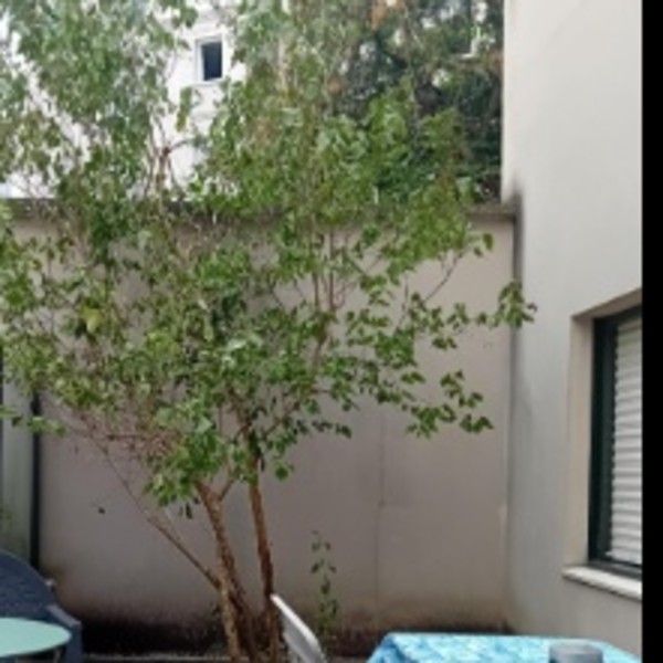 Photo du logement