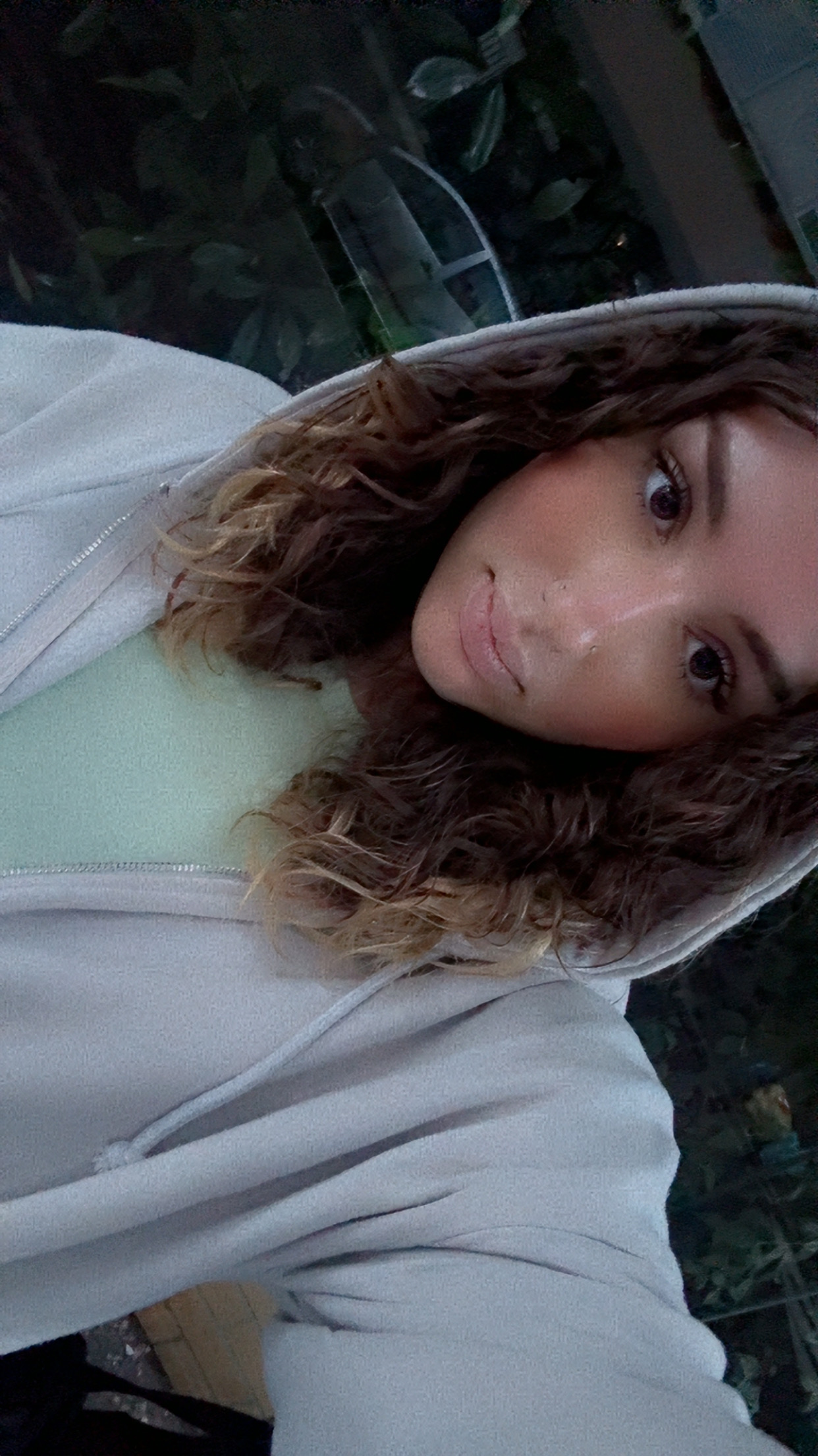 Ambre