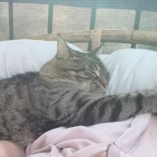 Photo de Kit