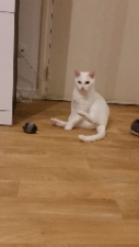 Photo de Smoke